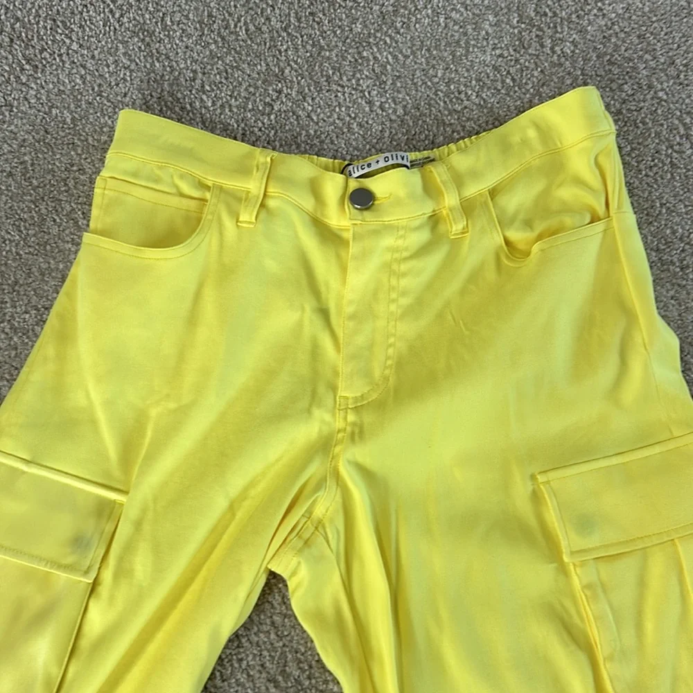 Alice + Olivia euc size